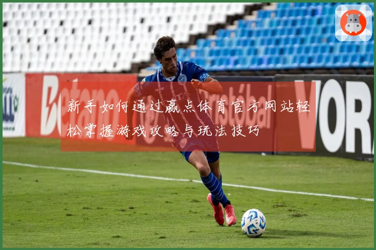 新手如何通过赢点体育官方网站轻松掌握游戏攻略与玩法技巧