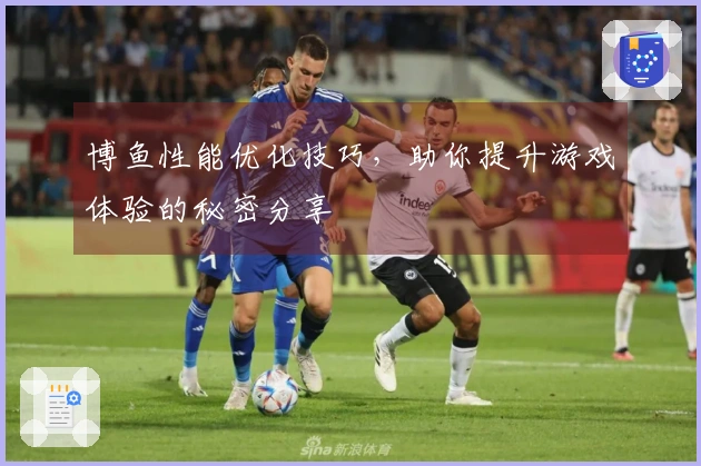 博鱼性能优化技巧，助你提升游戏体验的秘密分享
